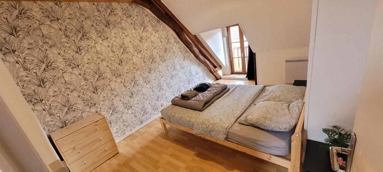 Agreable Gite Proche Du Zoo De Beauval Et Des Chateaux3 Selles-sur-Cher Exterior photo